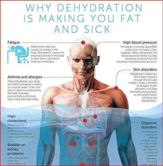 10 Reasons Dehydration is Making You Fat And Sick ...