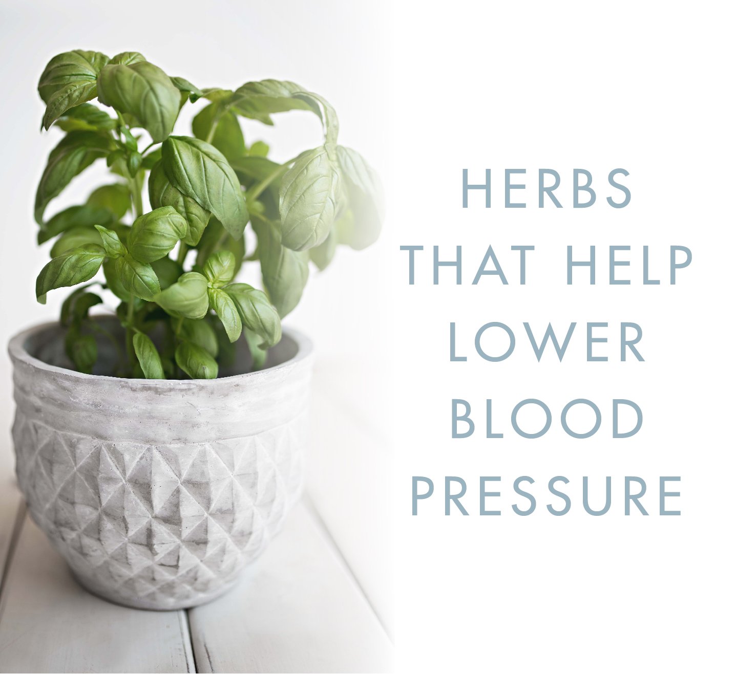 5 Herbs that Help Lower Your Blood Pressure
