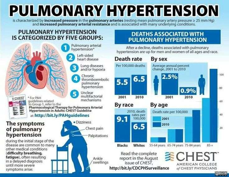 59 best images about Community Support: Pulmonary Hypertension on ...