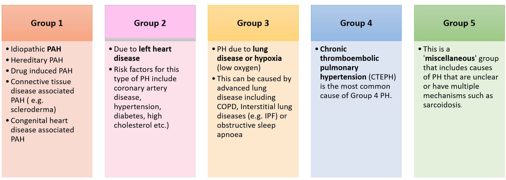 Â» What is Pulmonary Hypertension?