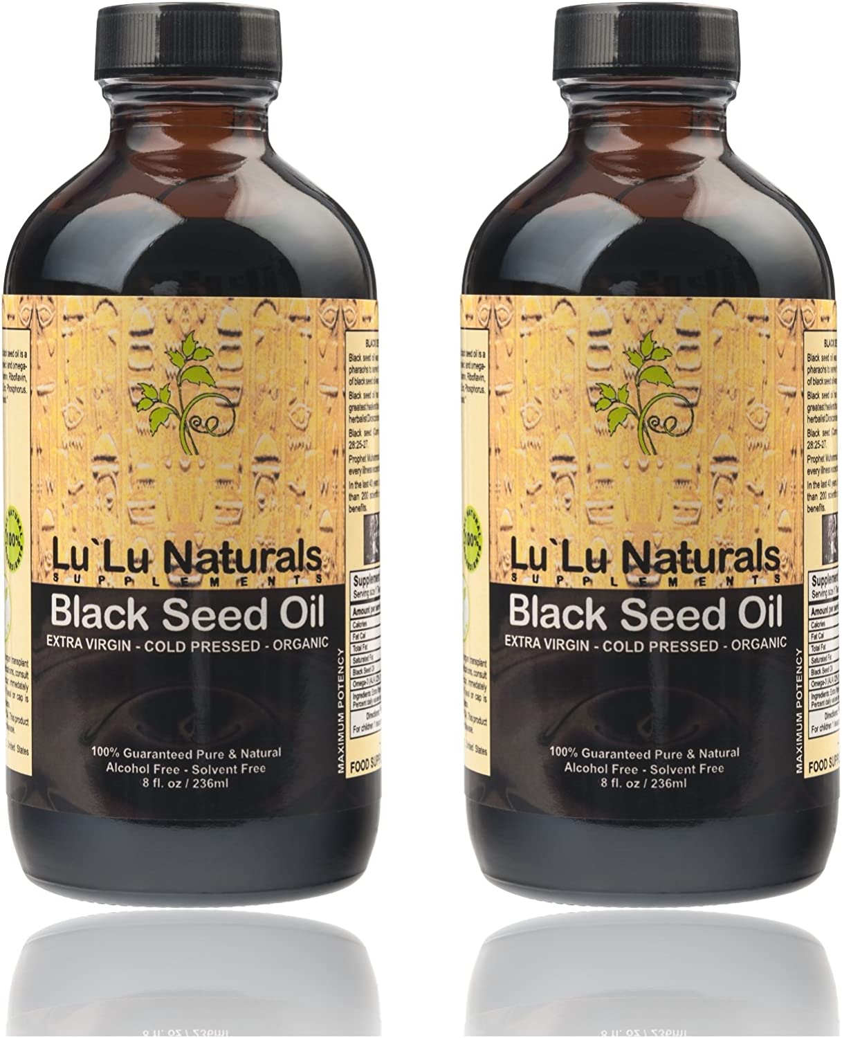 Amazon.com: Premium Black Seed Oil 2x8oz Organic, Cold Pressed, Extra ...