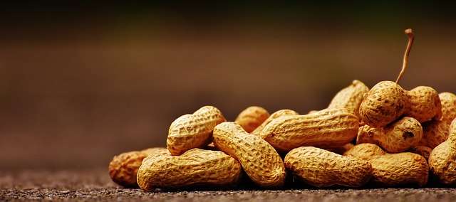 is-peanuts-good-for-high-blood-pressure-healthybpclub