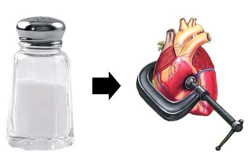 Clinical Studies Reveal That Salt Does NOT Cause High ...