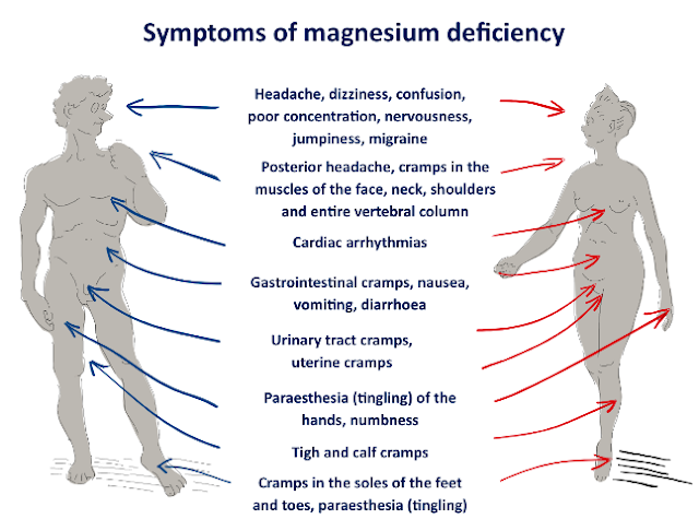 Diabetes Symptoms Low Magnesium Levels Connected ...