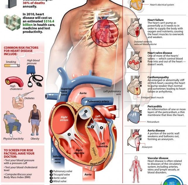 high blood pressure: Heres an infographic for those who want to know ...