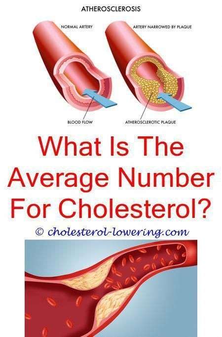 highcholesteroldiet is celery good for cholesterol?