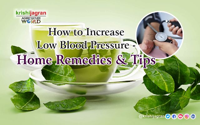 How to Increase Low Blood Pressure