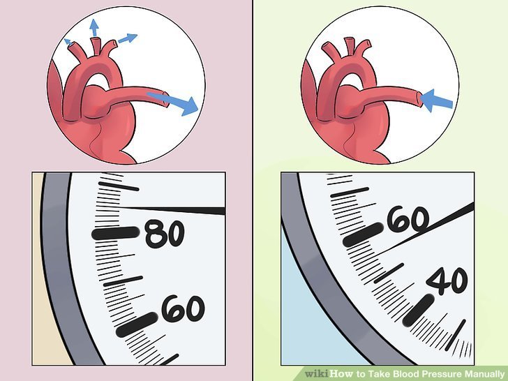 How to Take Blood Pressure Manually (with Pictures)