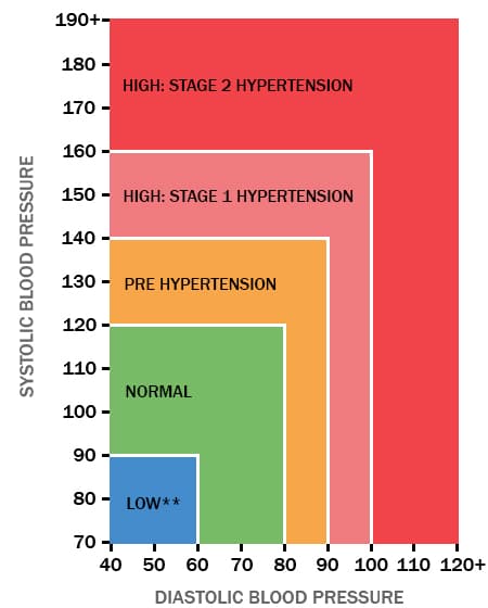 Hypertension? Lower blood pressure naturally!  Ilze Medical
