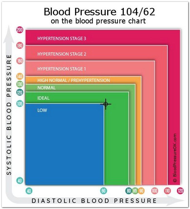 Is 10462 Blood Pressure Too Low
