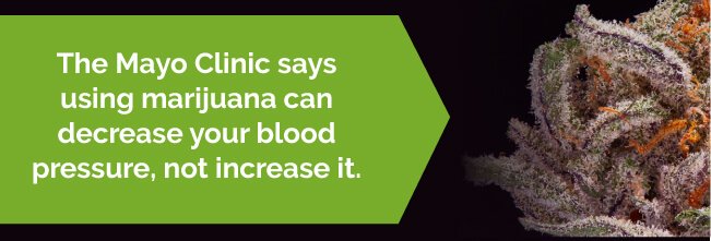 Marijuana for High Blood Pressure