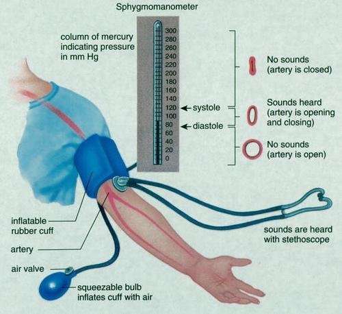 Measurement of blood pressure with a sphygmomanometer [9 ...