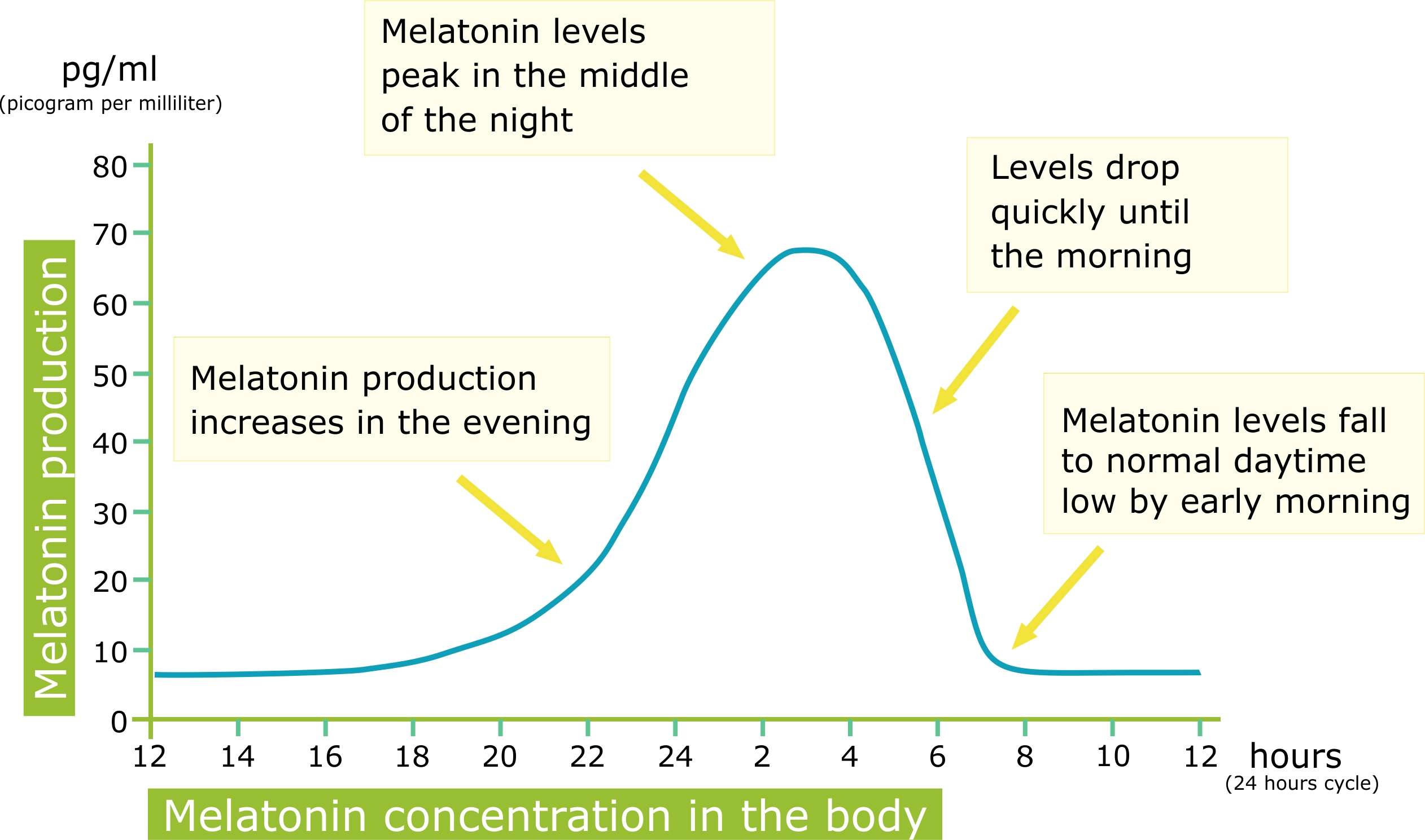 Melatonin for Sleep