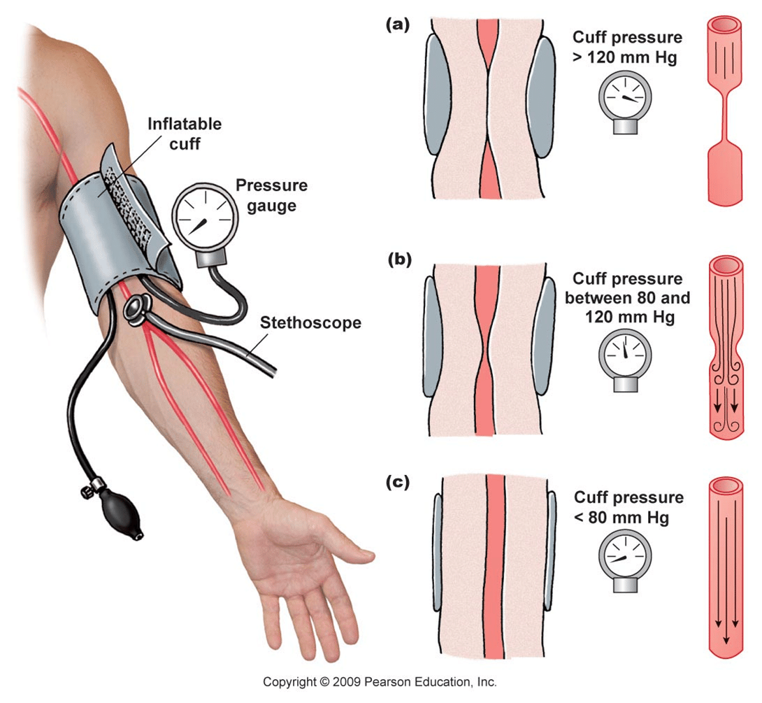 Blood measure. Arterial Pressure. Blood Pressure measurement. Measure Pressure Blood Pressure.