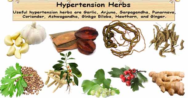 Natural High Blood Pressure Herbs