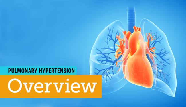 Pulmonary Hypertension  An Overview