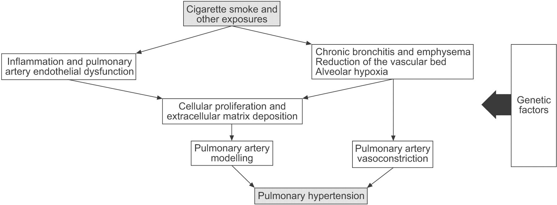 Pulmonary hypertension in COPD