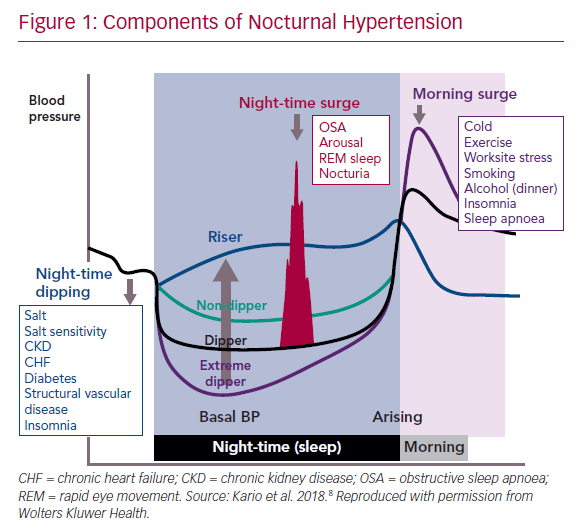 The Role of Nocturnal Blood Pressure and Sleep Quality in Hypertension ...