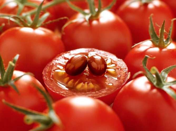 Tomato Extracts For High Blood Pressure