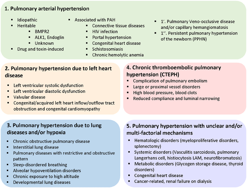 Updated classification of pulmonary hypertension. The ...